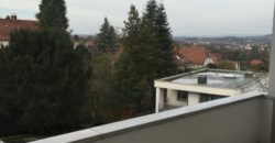 #547 Frisch Renovierte 2ZKB-Wohnung – Detmold