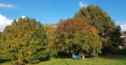 Mehrfamilienhaus in ländlicher Lage mit Pferdewiese