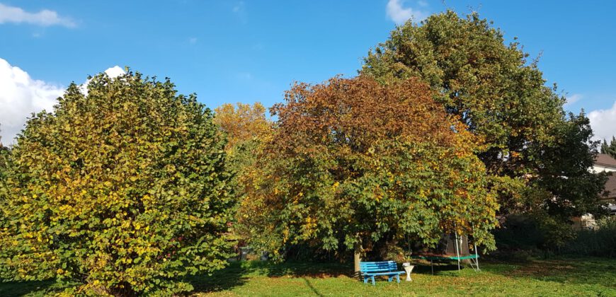 Mehrfamilienhaus in ländlicher Lage mit Pferdewiese
